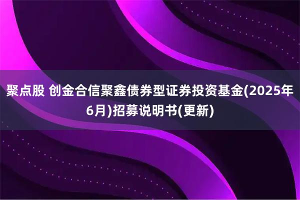 聚点股 创金合信聚鑫债券型证券投资基金(2025年6月)招募说明书(更新)