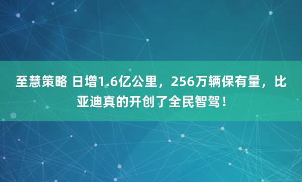 至慧策略 日增1.6亿公里，256万辆保有量，比亚迪真的开创了全民智驾！