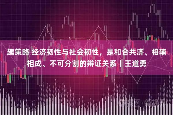 趣策略 经济韧性与社会韧性，是和合共济、相辅相成、不可分割的辩证关系｜王道勇