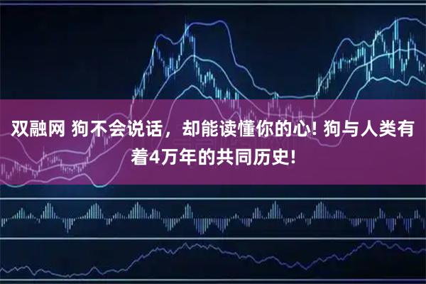 双融网 狗不会说话,却能读懂你的心! 狗与人类有着4万年的共同历史!